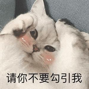 烦了！各地文旅“整活” 都一样