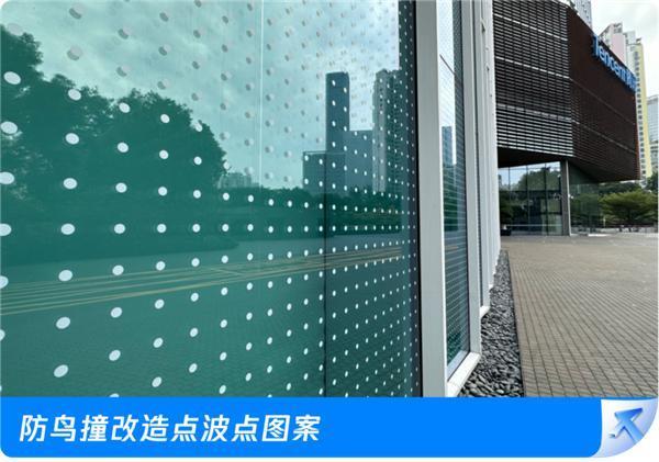 腾讯总部大厦贴膜防鸟撞成试题！登上深圳八年级英语试卷