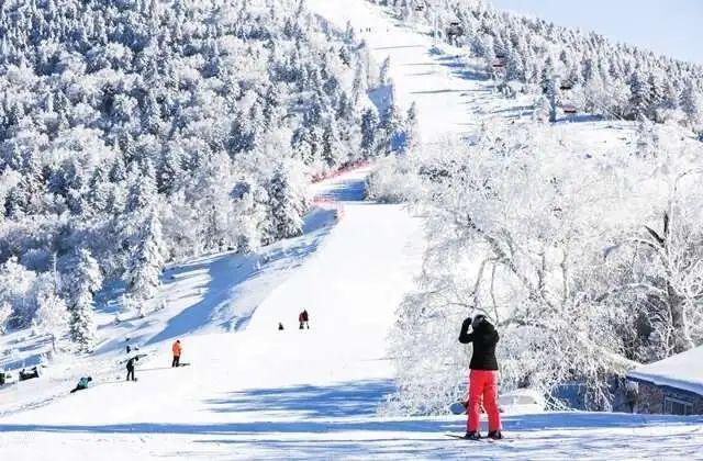 东北的爆火，看《人世间》就懂了，那抚慰人心的人间烟火