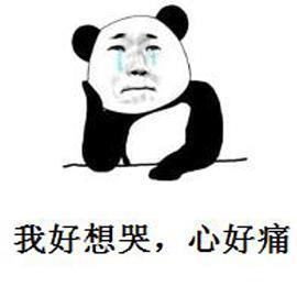 孩子寒假沉迷手机，学习机能否成为“鸡娃”新神器？