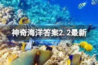 有“海中哥斯拉”之称的是大白鲨吗 神奇海洋海中哥斯拉2.2答案