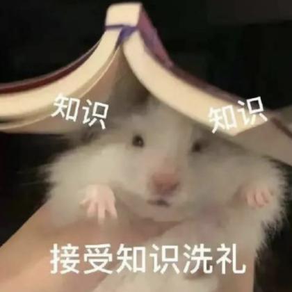 酷狗有点东西啊，谁告诉你AI是这么玩的？