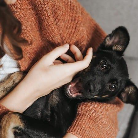 为什么人抱东西爱用右手,抱娃娃却用左手?