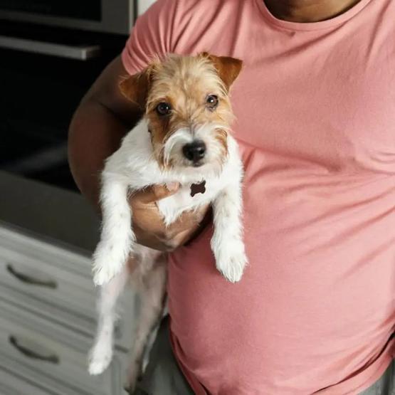 为什么人抱东西爱用右手,抱娃娃却用左手?