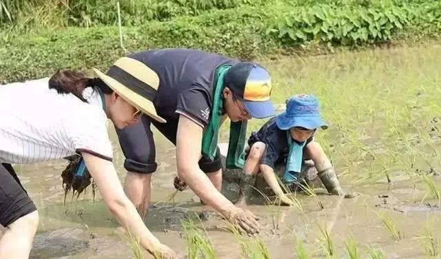 豪门儿媳圈真正C位，她凭什么？
