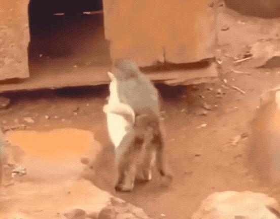 2024热搜第一终于被喷没了