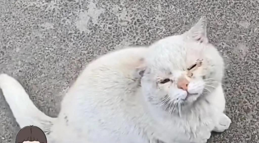 2024热搜第一终于被喷没了