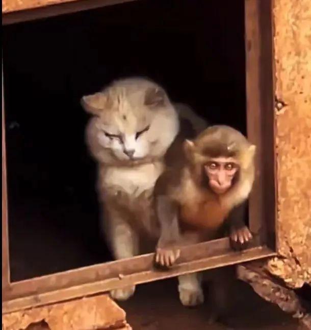 2024热搜第一终于被喷没了