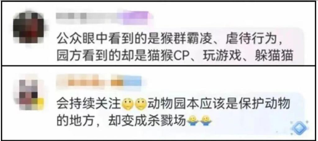 2024热搜第一终于被喷没了