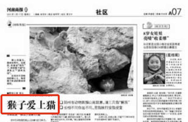 2024热搜第一终于被喷没了