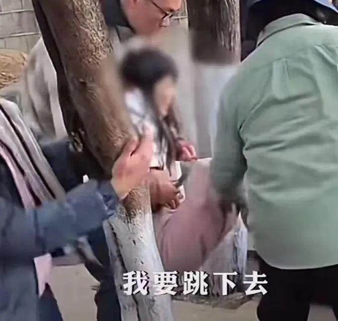 2024热搜第一终于被喷没了