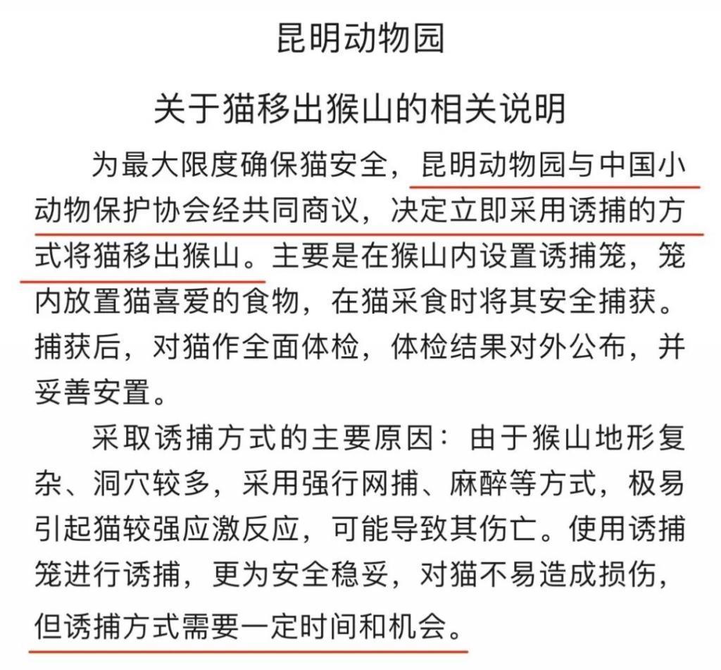 2024热搜第一终于被喷没了