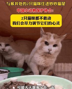 2024热搜第一终于被喷没了