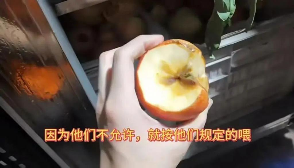 2024热搜第一终于被喷没了