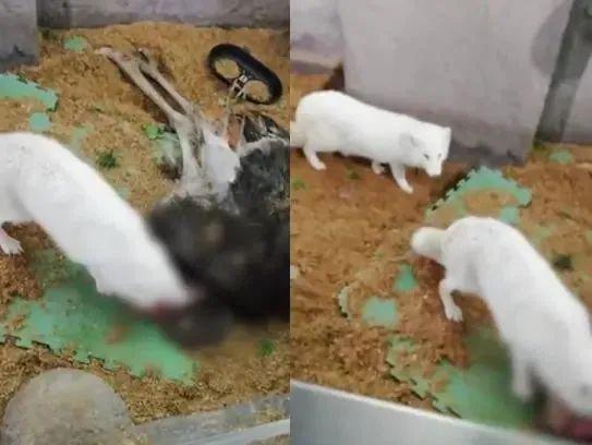 2024热搜第一终于被喷没了