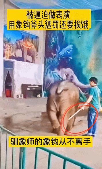 2024热搜第一终于被喷没了