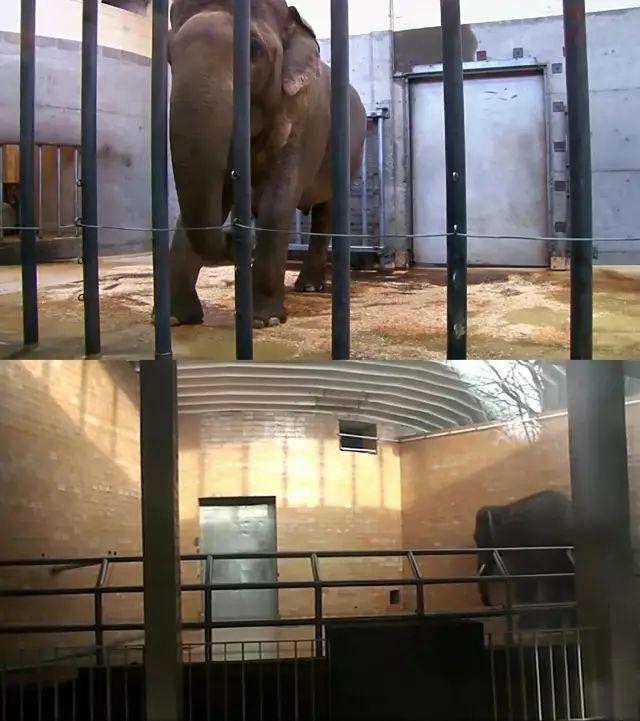 2024热搜第一终于被喷没了