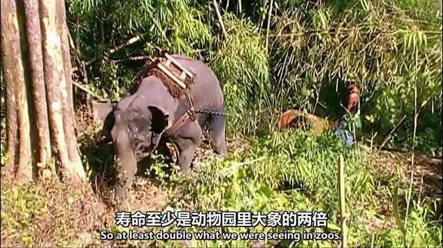 2024热搜第一终于被喷没了