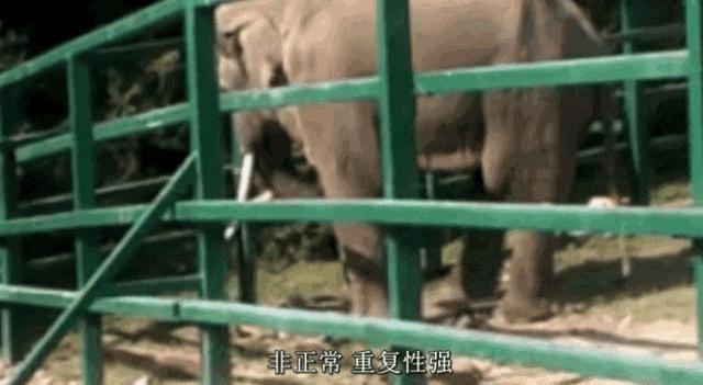 2024热搜第一终于被喷没了