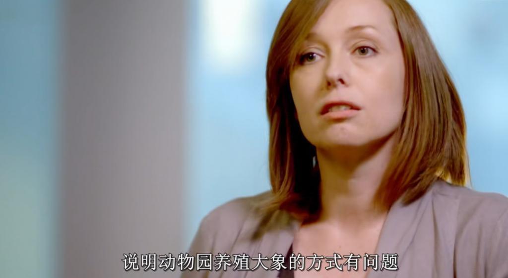 2024热搜第一终于被喷没了