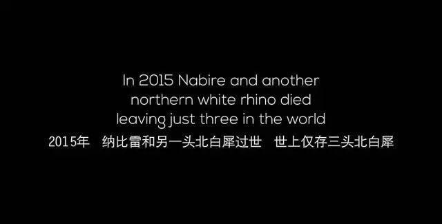 2024热搜第一终于被喷没了