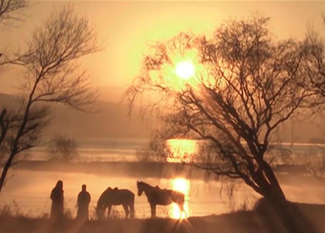当年怎么只顾盯着刘亦菲和蒋欣了，忽略了更貌美的她们