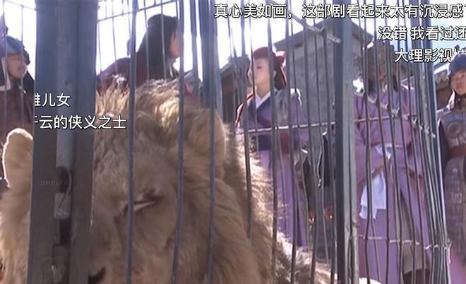 当年怎么只顾盯着刘亦菲和蒋欣了，忽略了更貌美的她们