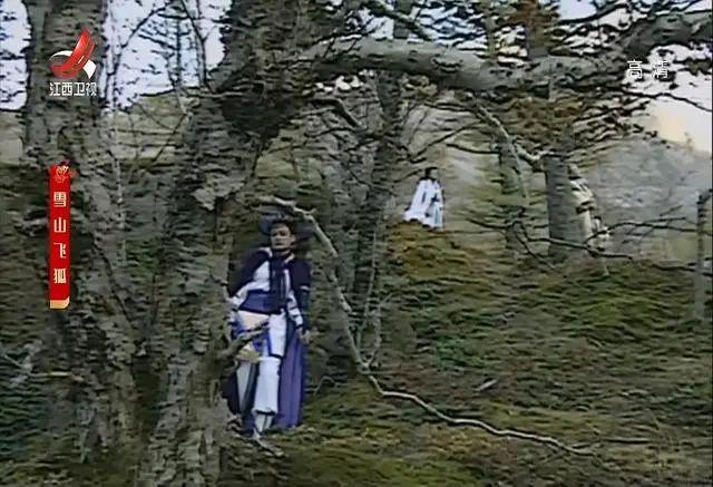 91版《雪山飞狐》：「并不美丽」的程灵素，为何能艳压女主