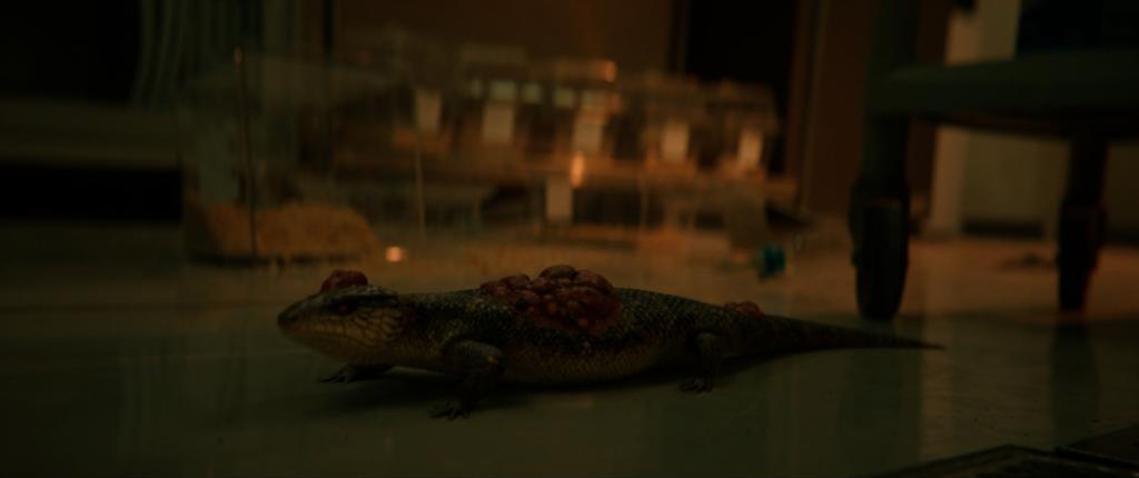 2024第一动作爽片，从头嗨到尾！