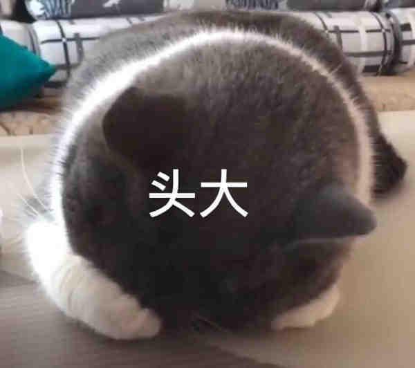 与辉同行主播被指文案「抄袭」，网友吵翻天了