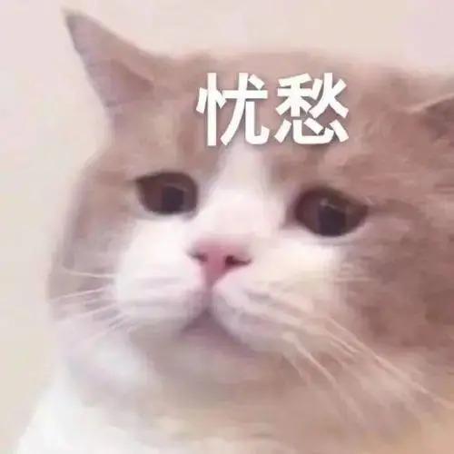还记得唱《祝你平安》的孙悦吗？隐退8年后重回观众视线