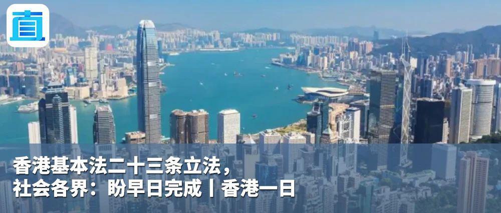 苦了鸽子！印度警方拘留“中国间谍鸽”8个月，最终无罪释放