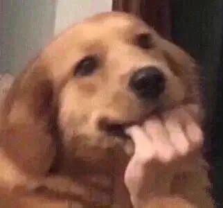 我也不想磕啊，可他俩手都牵上叻！