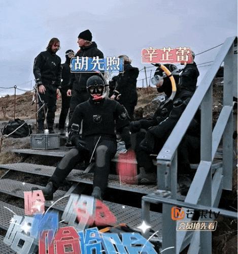 我也不想磕啊，可他俩手都牵上叻！