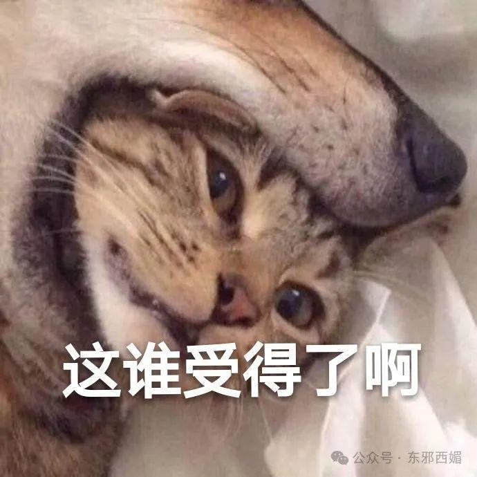 她怒打小三，这一次终于不再全网叫好