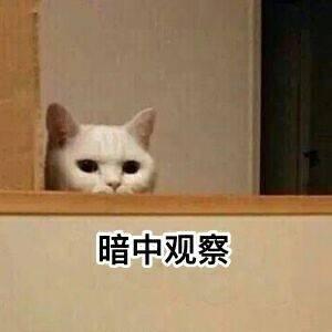 奔驰车主砸车事件反转？被砸车女子回应这不是真相