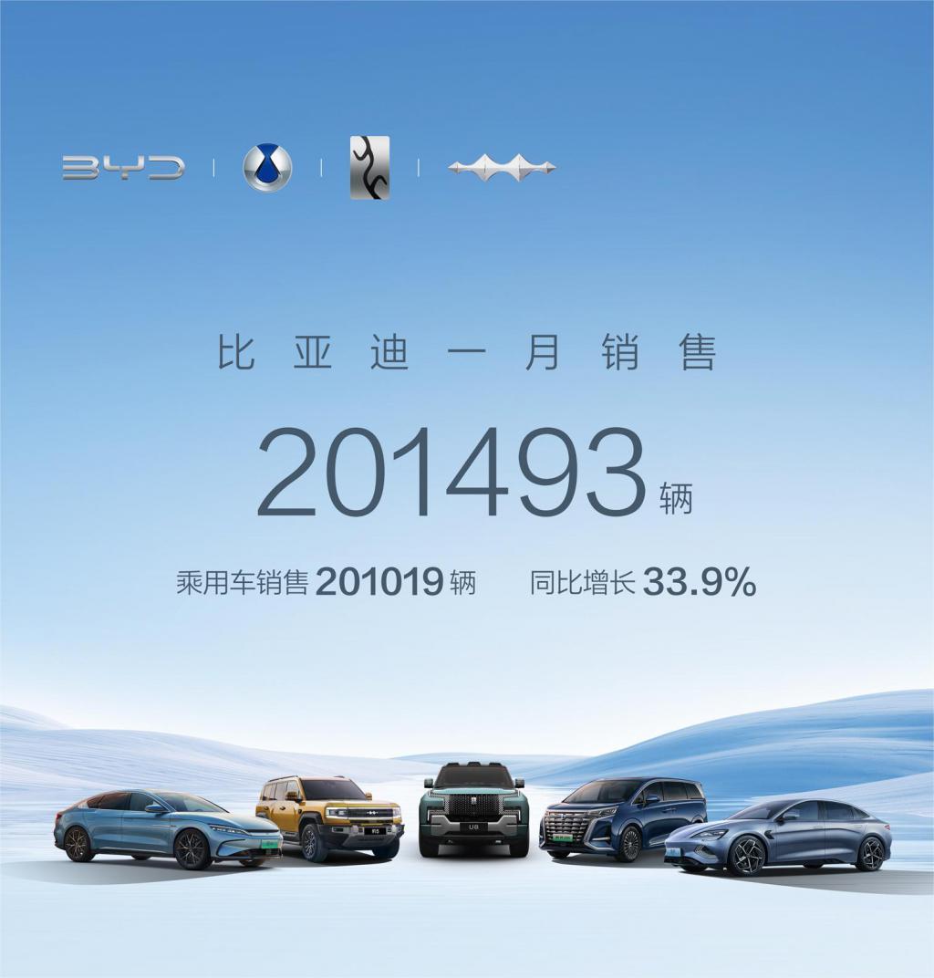 比亚迪、理想的“王座”不太稳