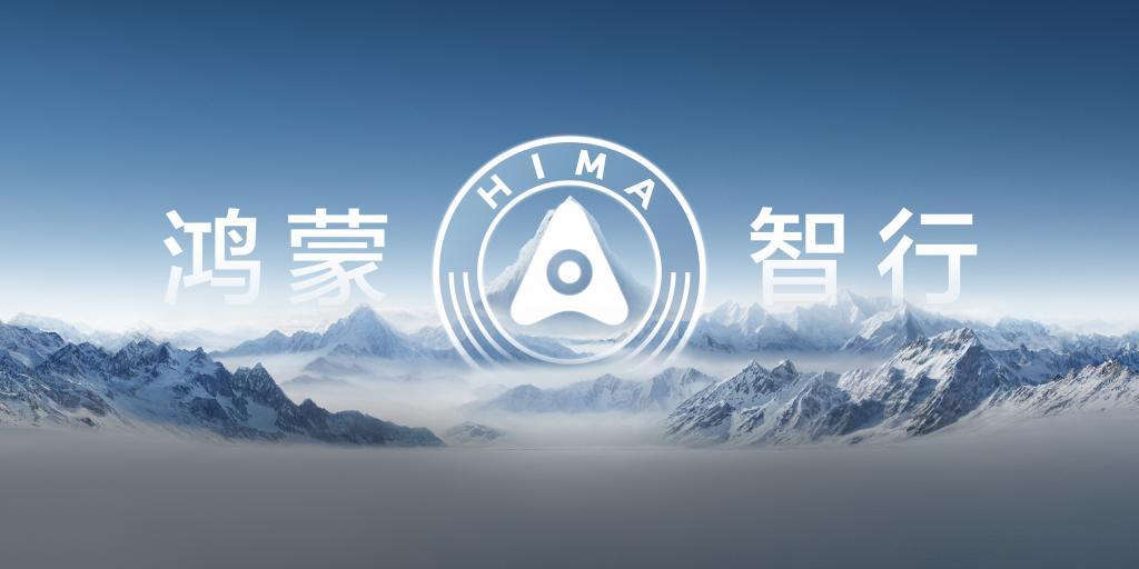 比亚迪、理想的“王座”不太稳