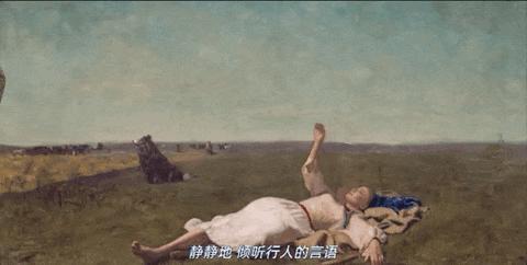 最美的画面，拍出了最毁三观的剧情