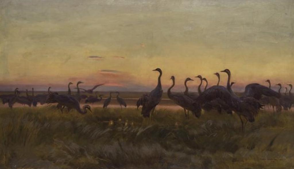 最美的画面，拍出了最毁三观的剧情