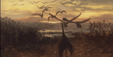 最美的画面，拍出了最毁三观的剧情