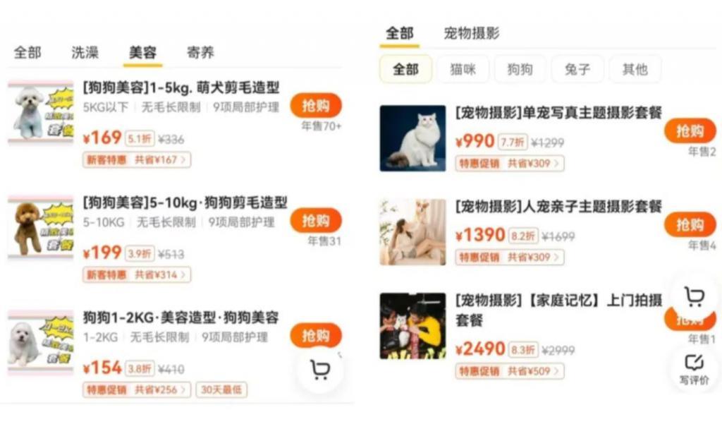 身价上万的宠物，过年前被扔到了大街上