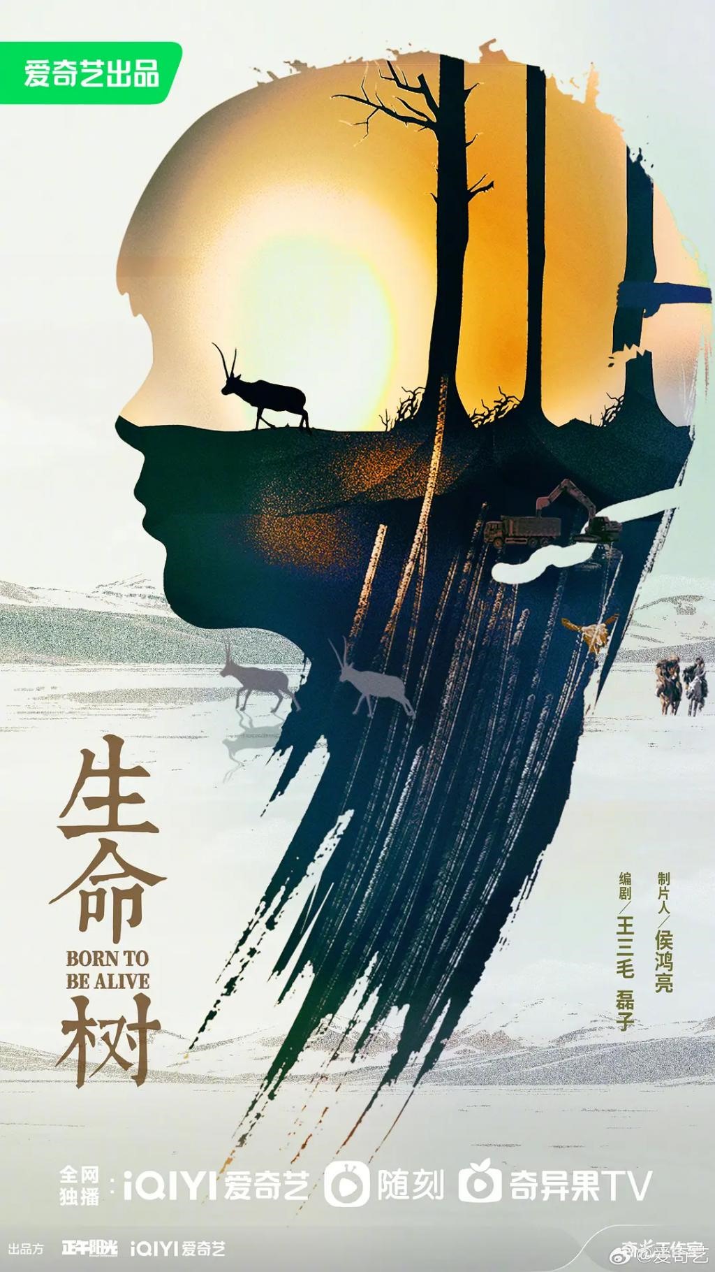 一部剧带火一座城，《繁花》之后看这几位…