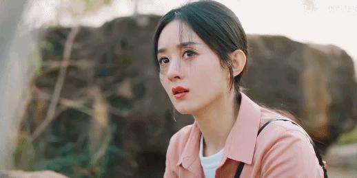 2024，85花的不惑之年