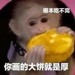 2024，85花的不惑之年