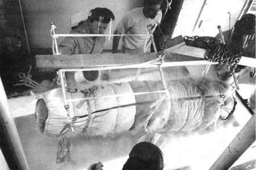 李泽厚“冷冻头颅遗嘱”获执行，揭秘美国人体冷冻复活计划