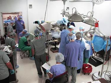 李泽厚“冷冻头颅遗嘱”获执行，揭秘美国人体冷冻复活计划