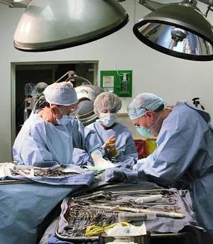 李泽厚“冷冻头颅遗嘱”获执行，揭秘美国人体冷冻复活计划