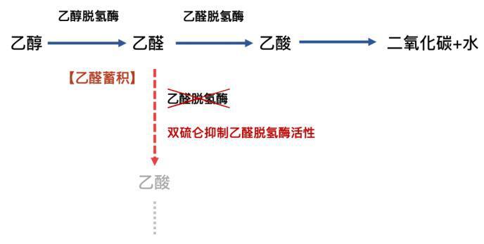 “头孢就酒死不了”？杨波你可别误导人