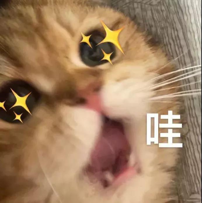 微信偷偷更新！这新春限定功能全面上线